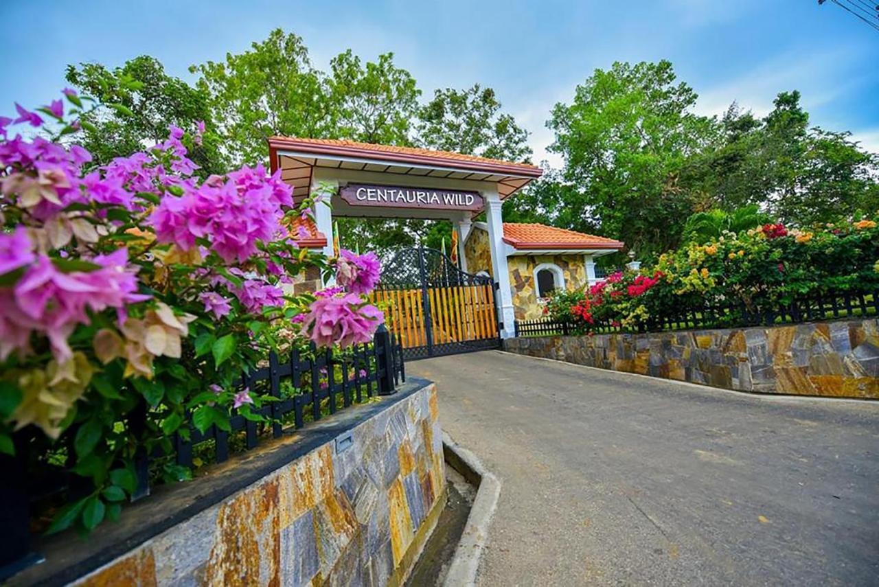Centauria Wild Hotel Udawalawe Kültér fotó