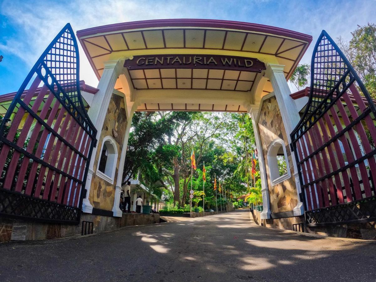 Centauria Wild Hotel Udawalawe Kültér fotó